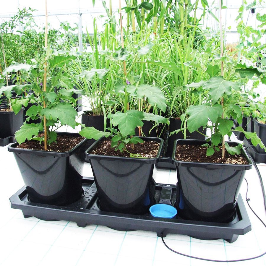 AutoPot Auto3 XL System – Inkl. 3x 25L Töpfe
