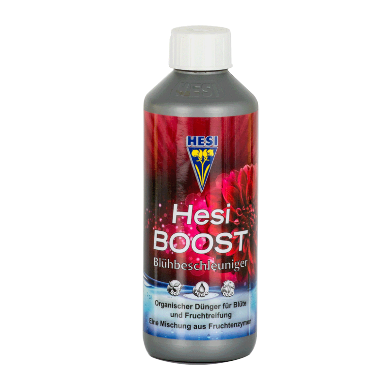 Hesi Boost