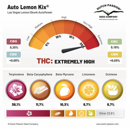 Auto Lemon Kix® | Dutch Passion
