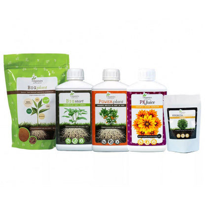 Organics Nutrients Starter-Kit